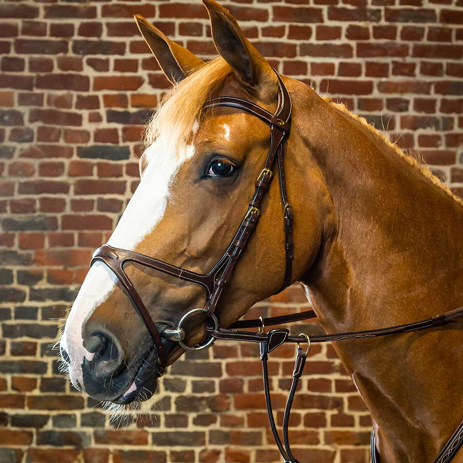 Träns X-Fit Anatomiskt DC Brun