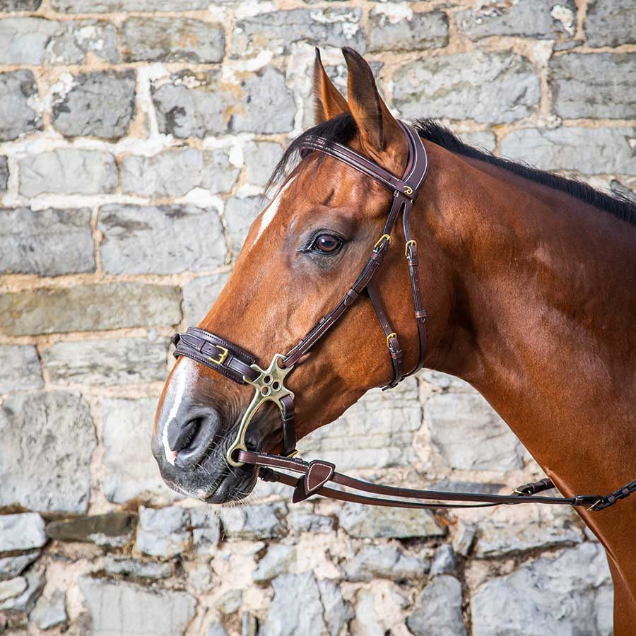 Träns Hackamore DC Brun