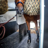 Transportsskydd Pro-Safe Front Svart Transportsskydd Pro-Safe Front Svart