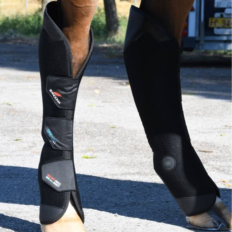 Transportsskydd Pro-Safe Rear Svart