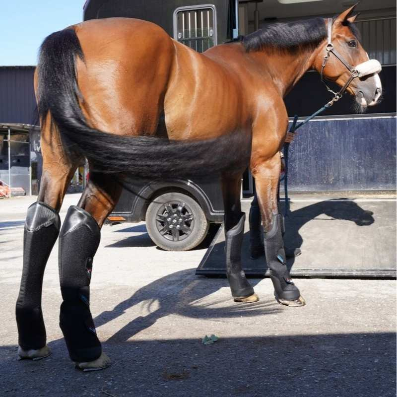Transportsskydd Pro-Safe Rear Svart
