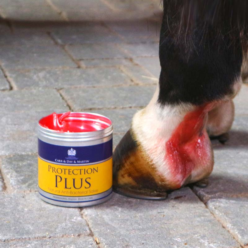 Antibakteriell Salva Protection Plus 500g