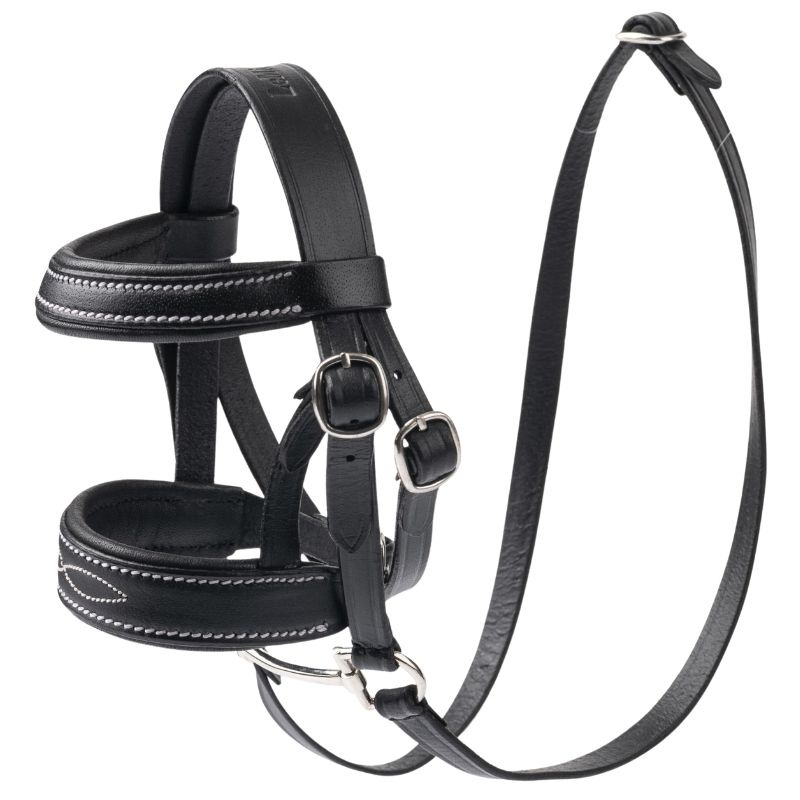 Träns Toy Pony Svart