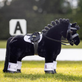 Träns Toy Pony Svart Träns Toy Pony Svart