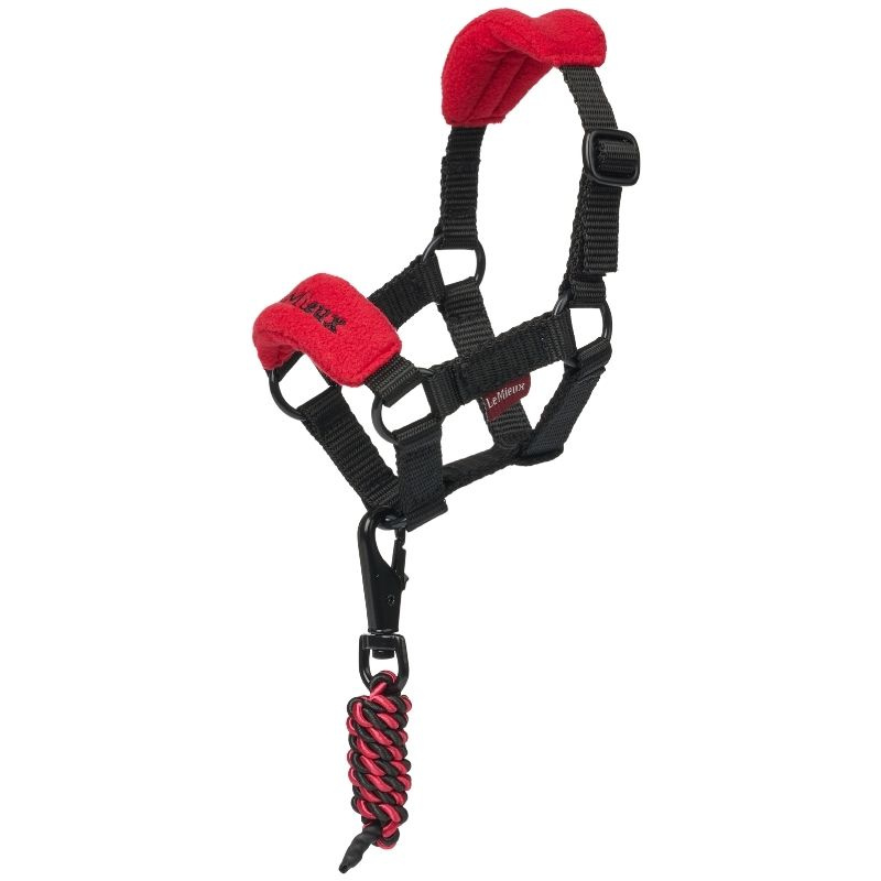 Grimma Toy Pony Vogue Röd