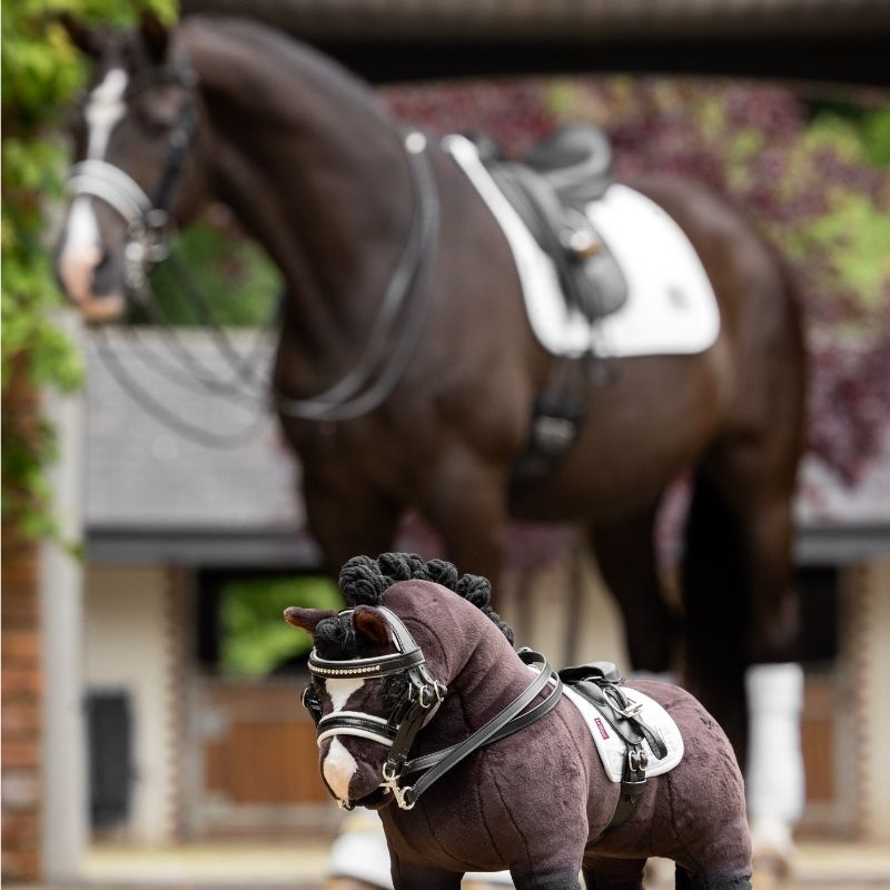 Kandarträns Toy Pony Svart