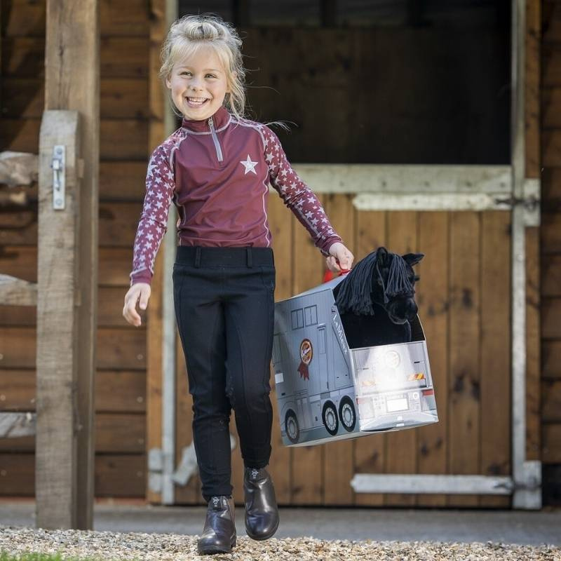 Carry Case Toy Pony Reversible  