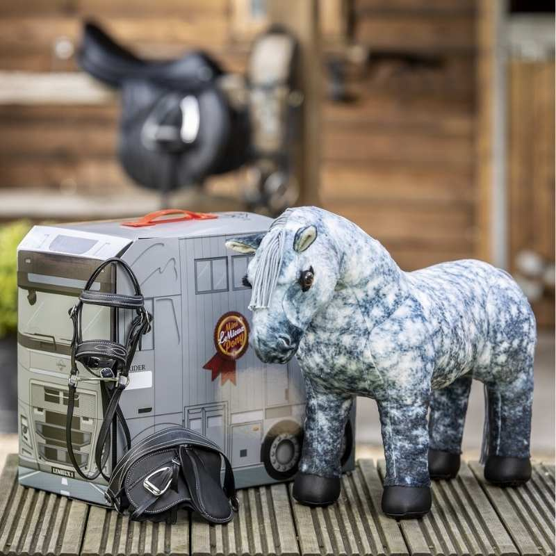 Carry Case Toy Pony Reversible  