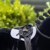 Schabrak Toy Pony Vit Schabrak Toy Pony Vit