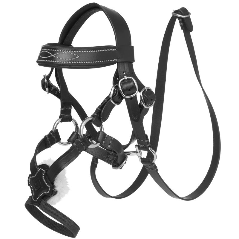Träns Toy Pony Grackle Svart