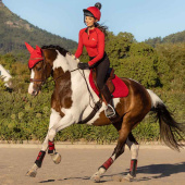 Schabrak Suede Square Röd Schabrak Suede Square Röd