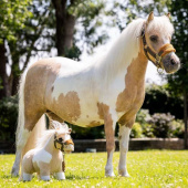 Leksakshäst Toy Pony Lemon Leksakshäst Toy Pony Lemon