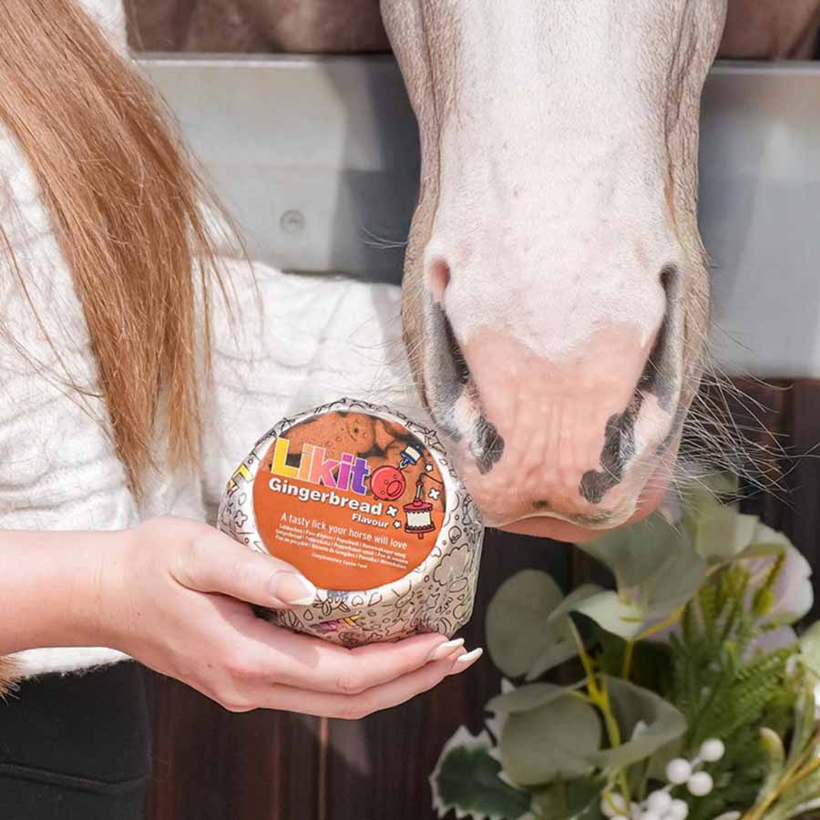 Slicksten Gingerbread Refill 650g