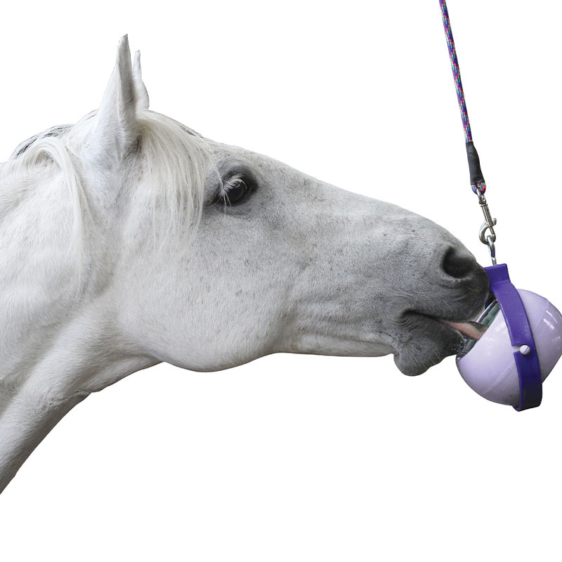 Hållare Boredom Buster Nivå 3 Lila