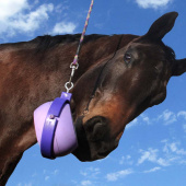 Hållare Boredom Buster Nivå 3 Lila Hållare Boredom Buster Nivå 3 Lila