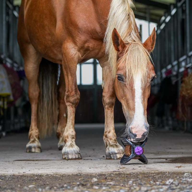 Hållare Bizzy Ball Svart