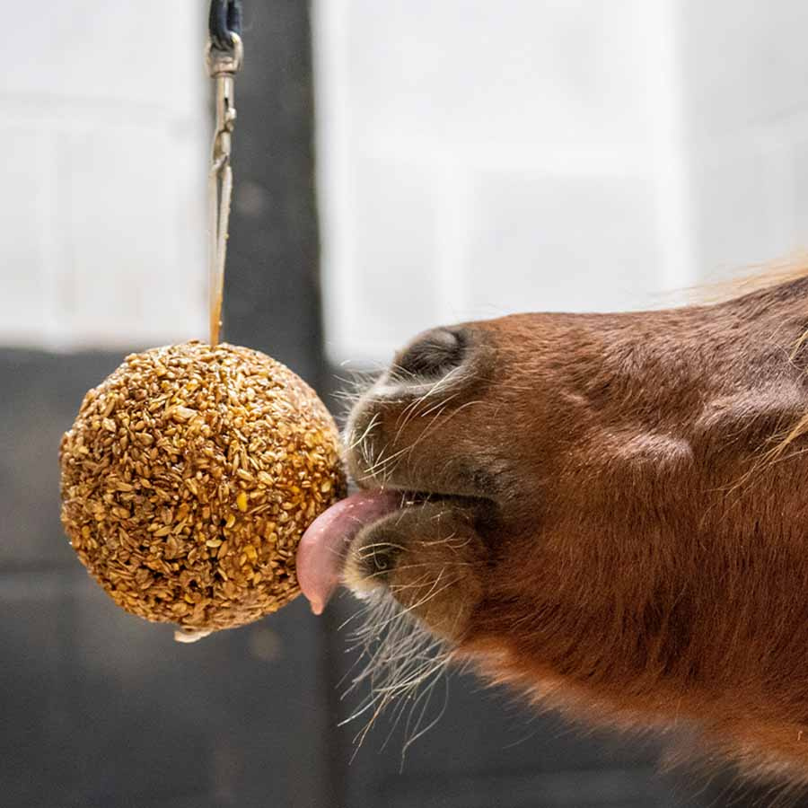 Stallboll Granola Apple 1,6kg