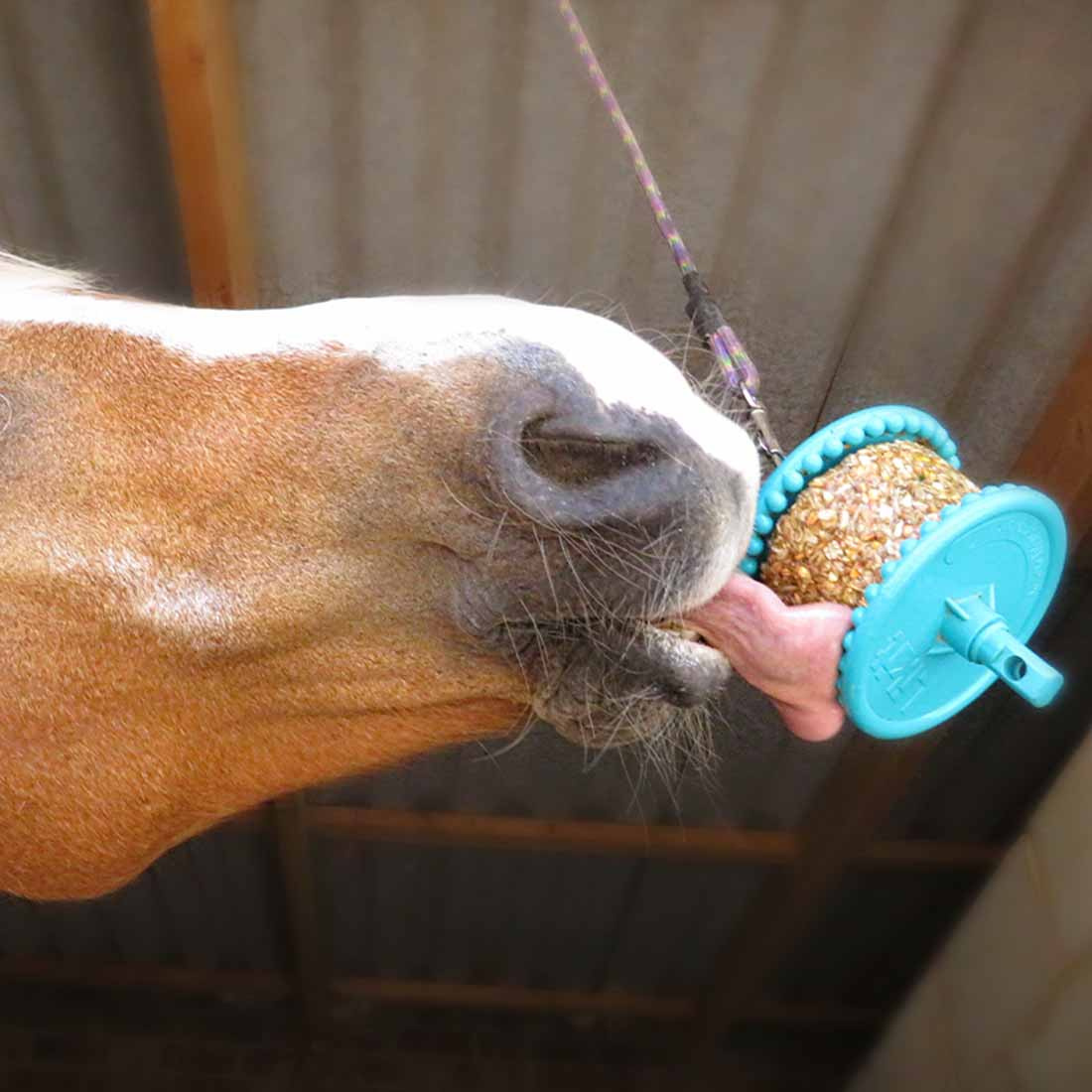 Slicksten Granola Mixed Berry Refill med Hål 550g