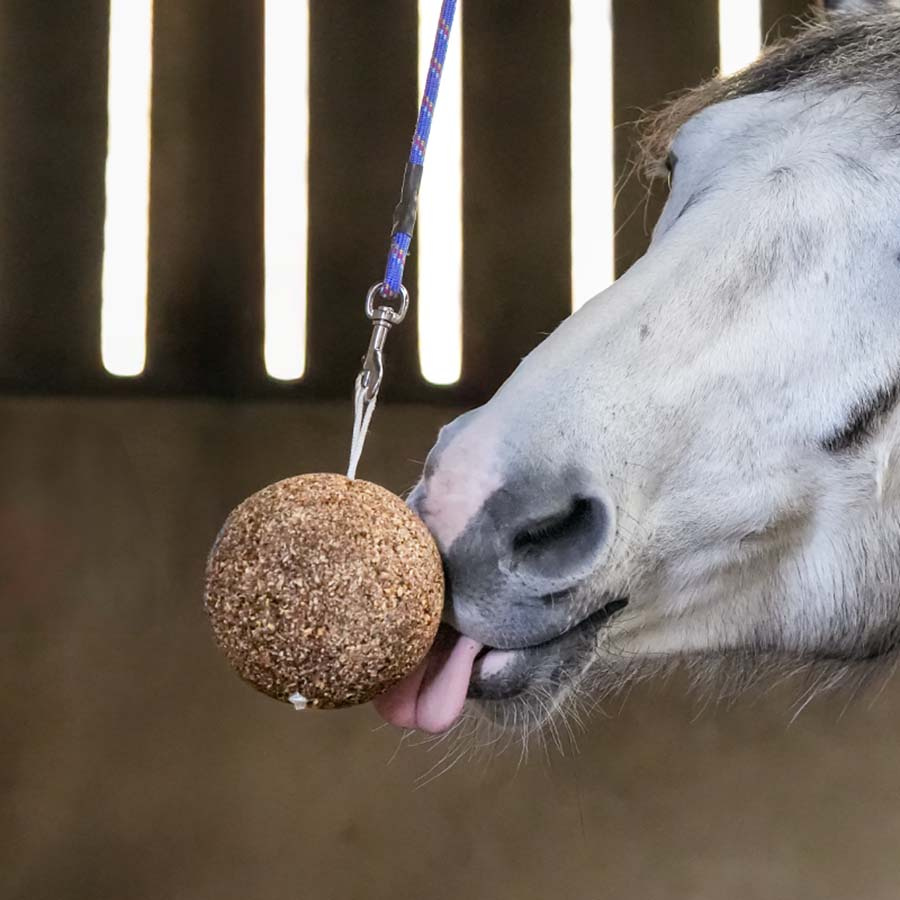 Stallboll GranoLo Apple 1,5kg