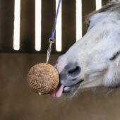 Stallboll GranoLo Apple 1,5kg Stallboll GranoLo Apple 1,5kg