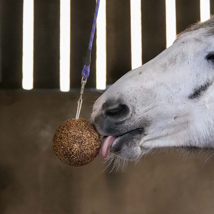 Stallboll GranoLo Apple 1,5kg
