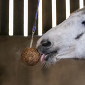 Stallboll GranoLo Apple 1,5kg Stallboll GranoLo Apple 1,5kg