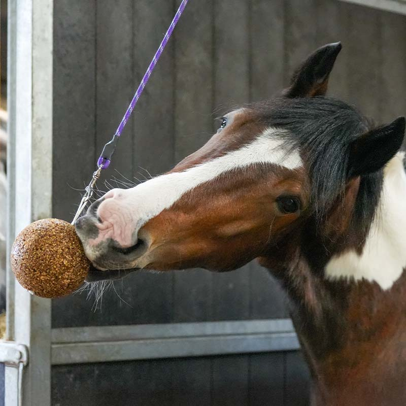 Stallboll GranoLo Apple 1,5kg