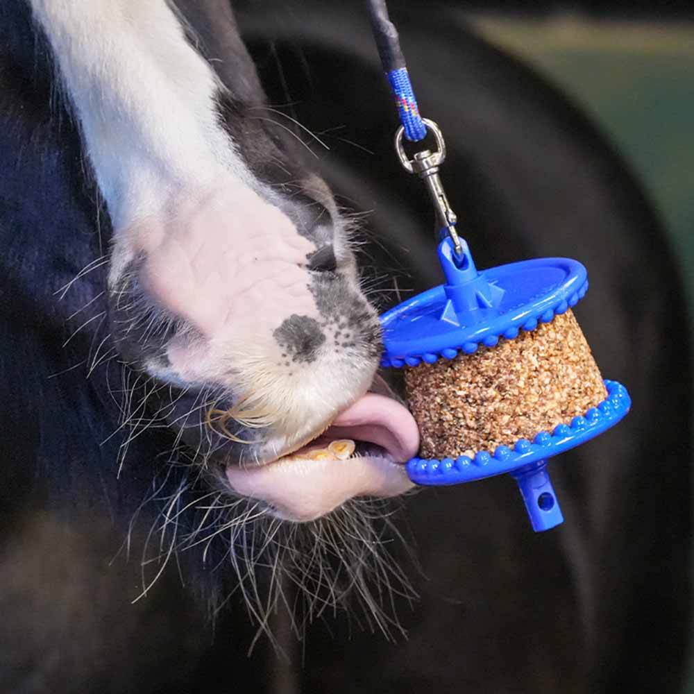 Slicksten GranoLo Apple Refill med Hål 400g