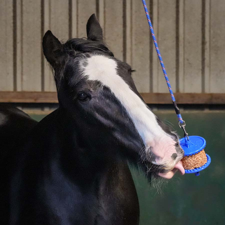 Slicksten GranoLo Apple Refill med Hål 400g