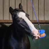 Slicksten GranoLo Apple Refill med Hål 400g Slicksten GranoLo Apple Refill med Hål 400g