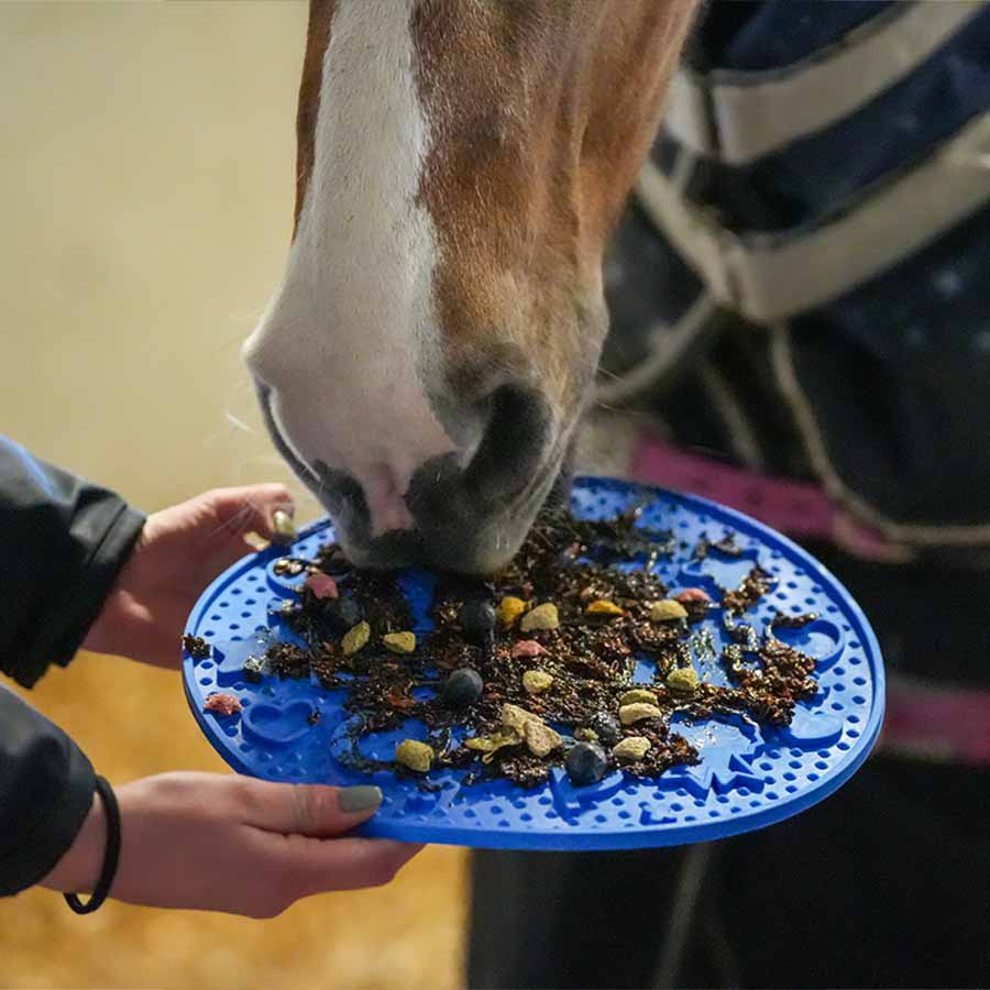 Slickmatta Graze Maze Lick Mat Nivå 1 Blå