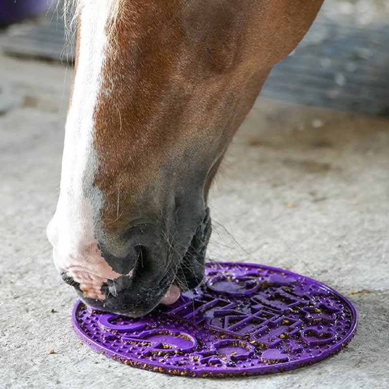 Slickmatta Graze Maze Lick Mat Nivå 1 Lila