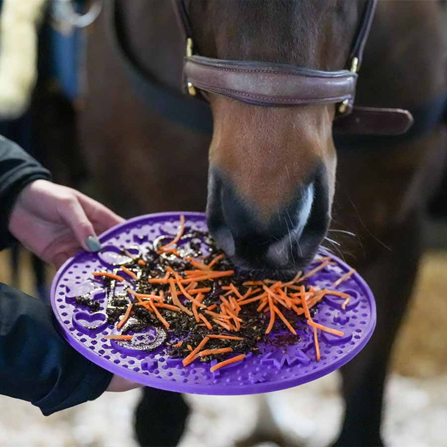 Slickmatta Graze Maze Lick Mat Nivå 1 Lila