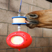 Slicksten Little Cherry Refill utan Hål 250g Slicksten Little Cherry Refill utan Hål 250g