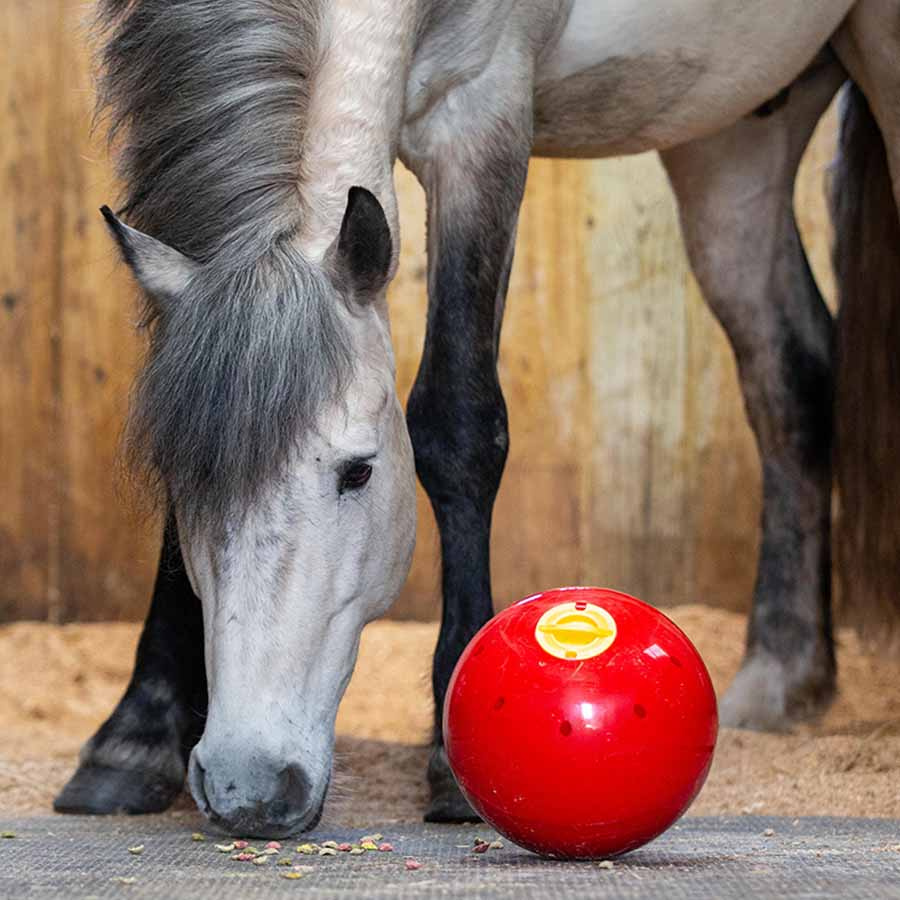 Godisboll Snak-a-Ball Nivå 2 Röd