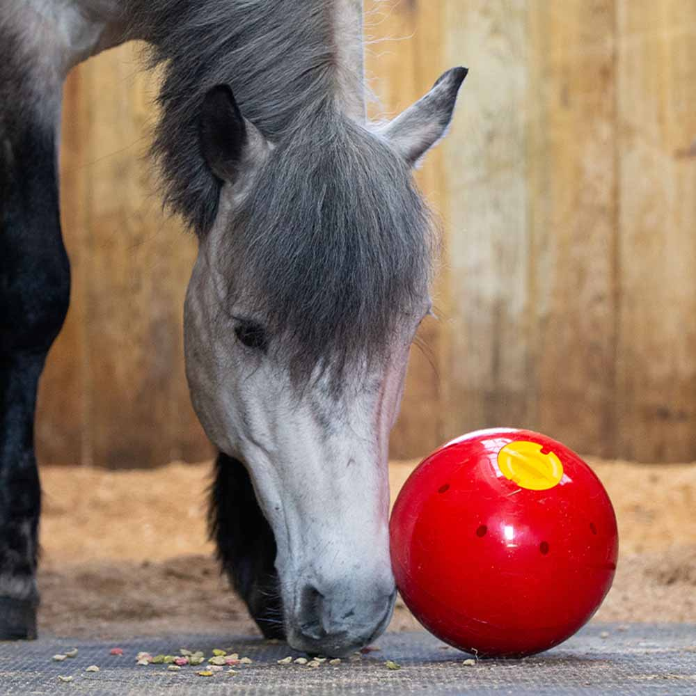 Godisboll Snak-a-Ball Nivå 2 Röd