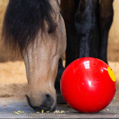 Godisboll Snak-a-Ball Nivå 2 Röd Godisboll Snak-a-Ball Nivå 2 Röd