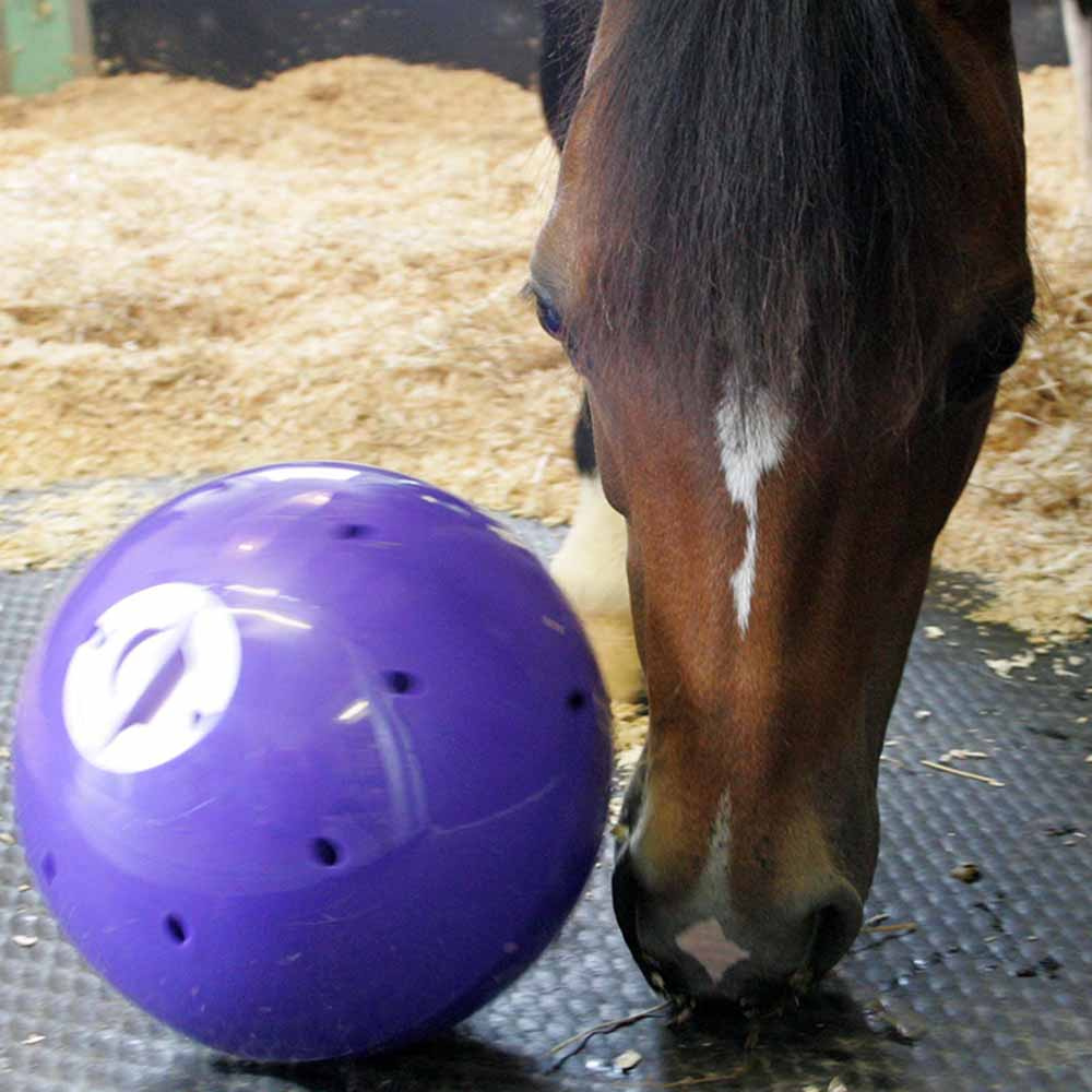 Godisboll Snak-a-Ball Nivå 2 Lila
