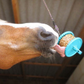 Starter Kit Granola Nivå 1 Transparent Starter Kit Granola Nivå 1 Transparent