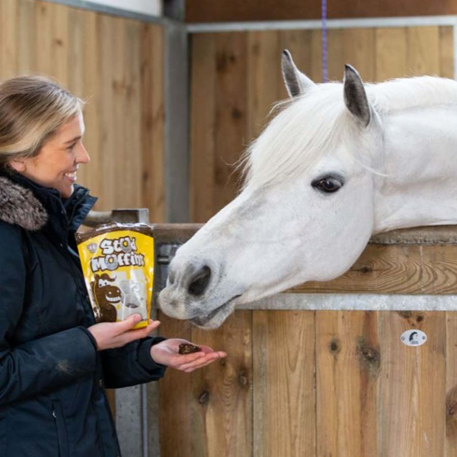 Hästgodis Stud Muffins 3st