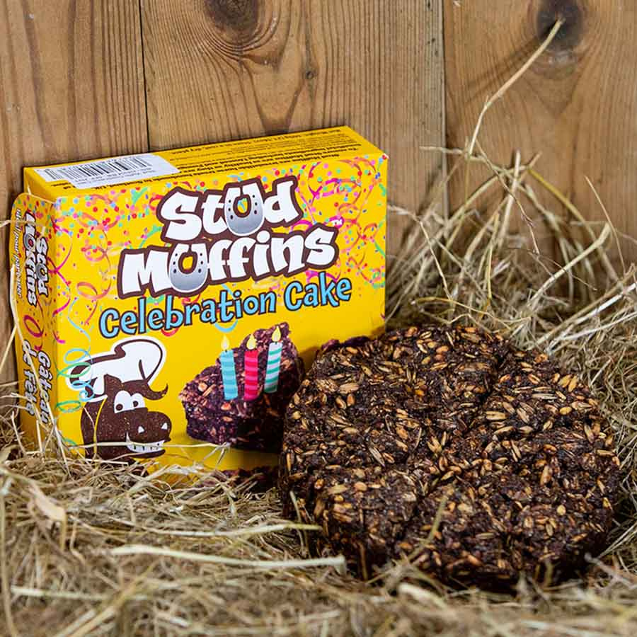 Hästgodis Stud Muffins Celebration Cake 600g