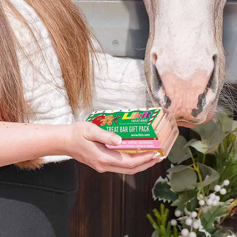 Hästgodis Treat Bars Gift Pack 4-pack 360g