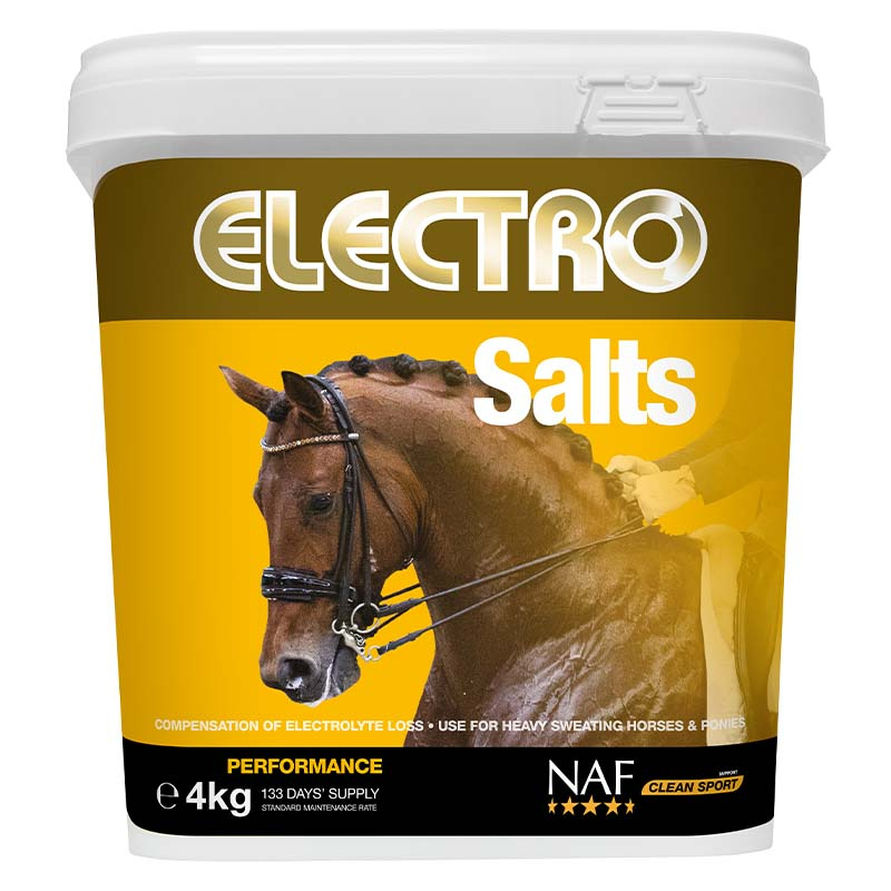 Electro Salter