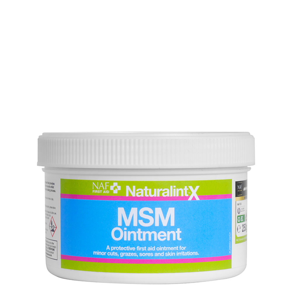 NaturalintX MSM Salva 250g