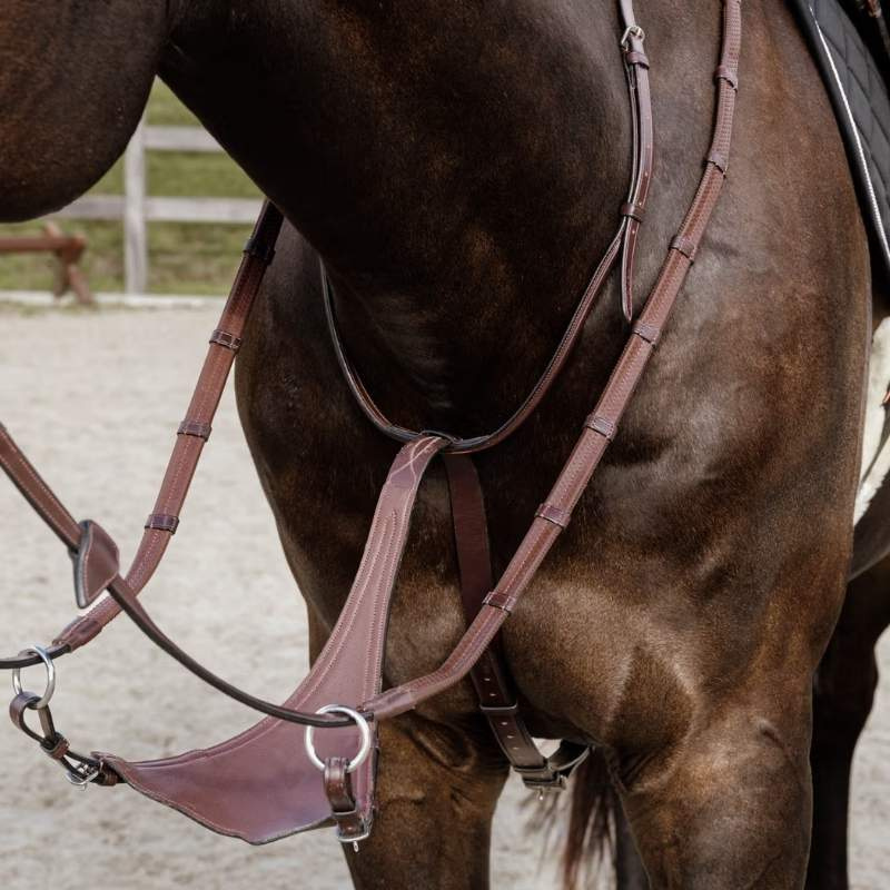 Martingal Soft Bib New English Collection Brun