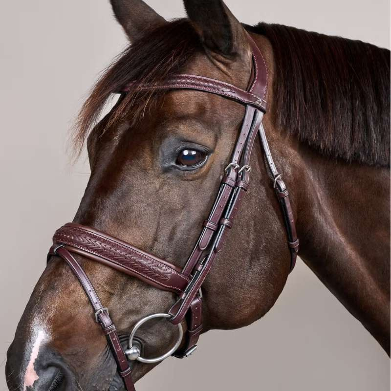 Träns Plaited Pull Back New English Collection Brun