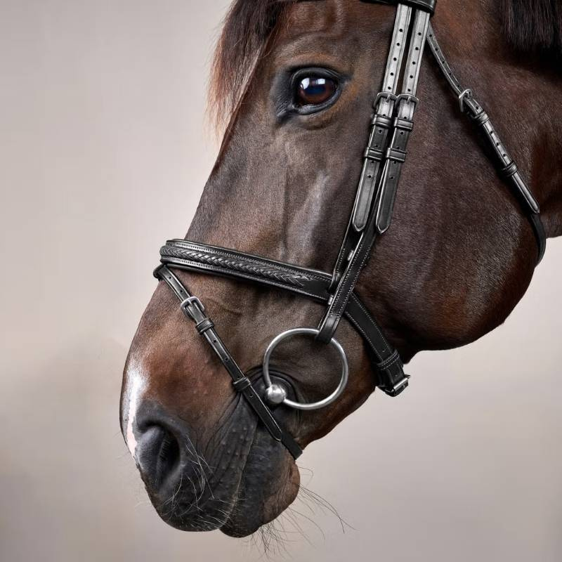 Träns Kombinosgrimma Plaited New English Collection Svart