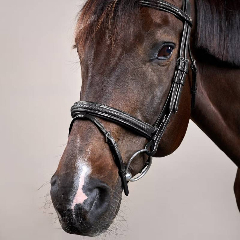 Träns Kombinosgrimma Plaited New English Collection Svart
