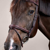Träns Kombinosgrimma Plaited New English Collection Brun Träns Kombinosgrimma Plaited New English Collection Brun