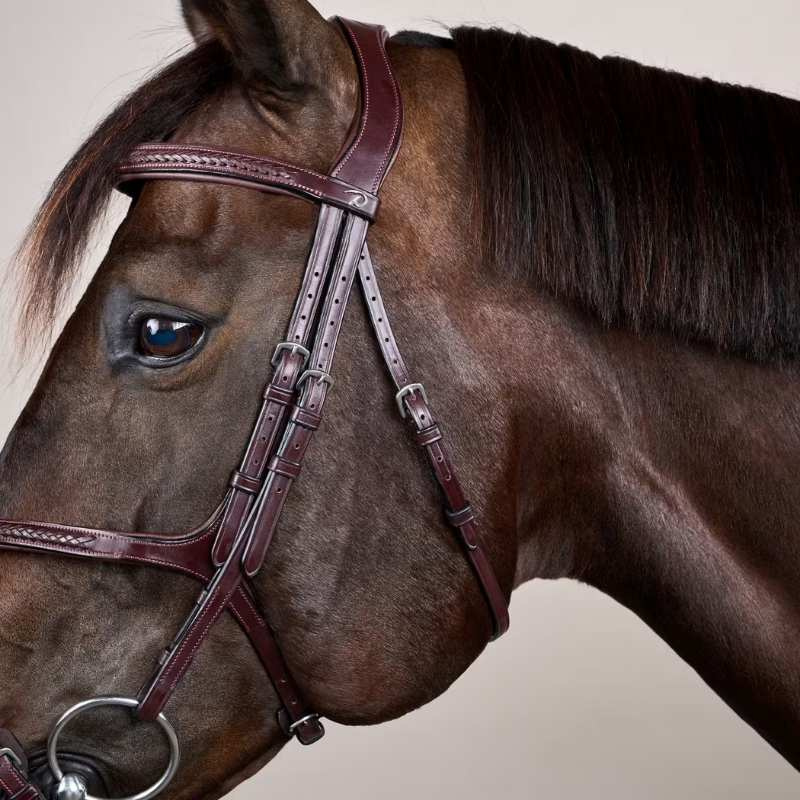 Träns Mexikansk Nosgrimma Plaited New English Collection Brun